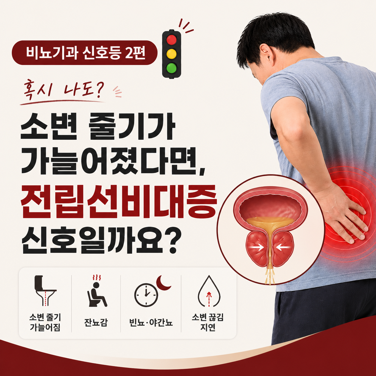 전립선비대증 증상, 소변 줄기가 가늘어지고 자주 마렵다면? [비뇨기과 신호등 2편]
